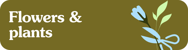 Flowers and Plants Classes Sydney